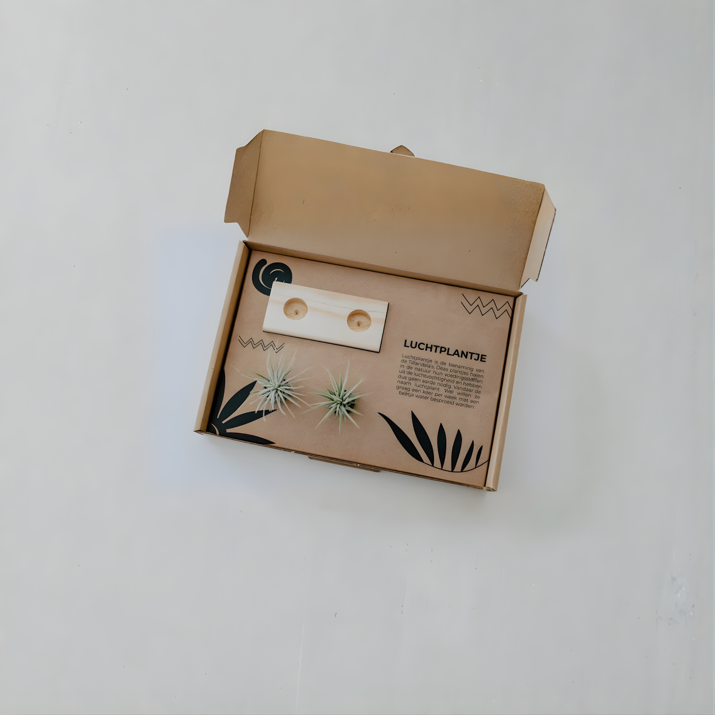 Luchtplantje met de post